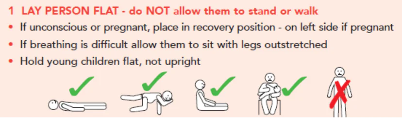 Lay person flat 